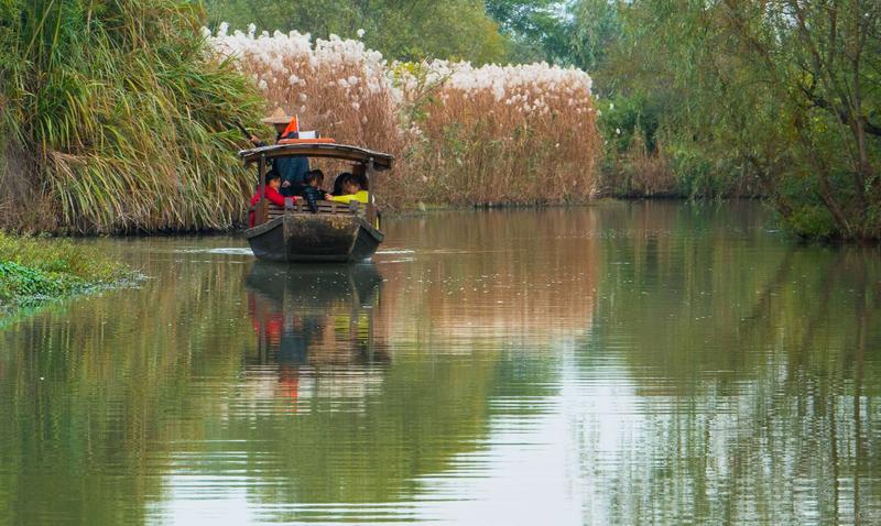 杭州西溪湿地
