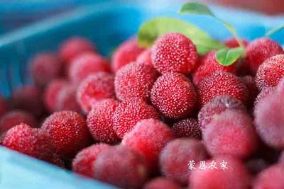 文章附图