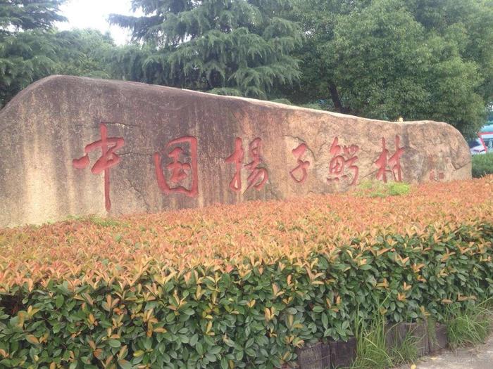 中国扬子鳄村