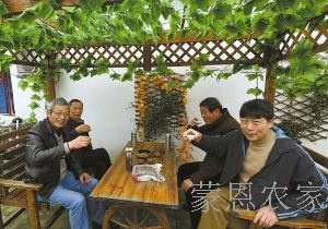 上海农家乐 上海农家乐
