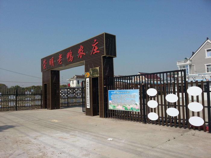 上海农家乐崇明老鸭农庄 上海农家乐崇明老鸭农庄