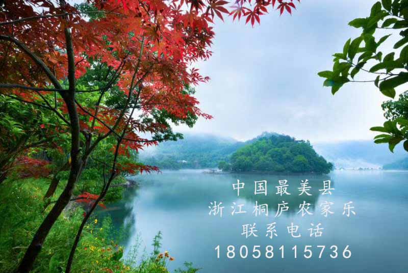 上海到桐庐农家乐旅游必去的景点推荐大奇山国家森林公园