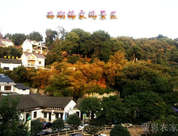 梅家坞农家乐