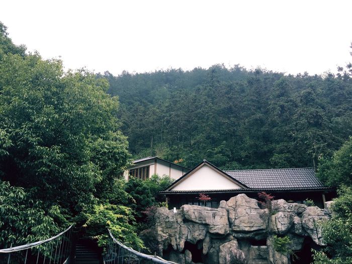 清水湾外景