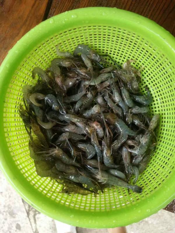无锡周边农家乐哪里好玩三日游推荐