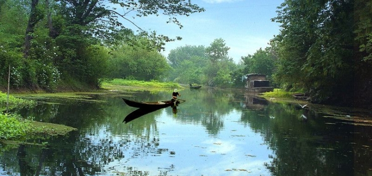 杭州西溪湿地