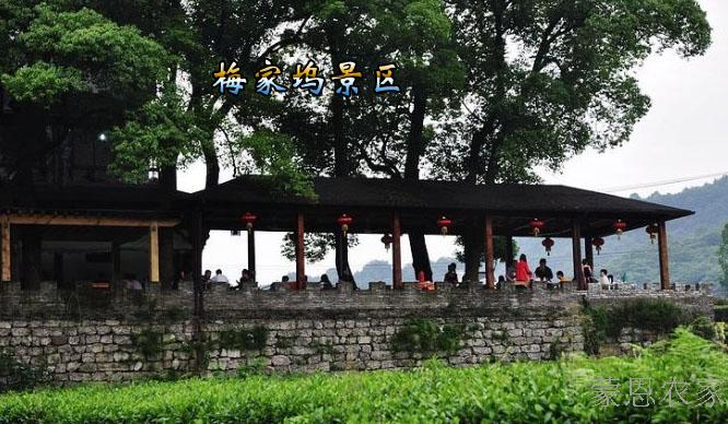 浙江杭州农家乐发展的隐忧及思考