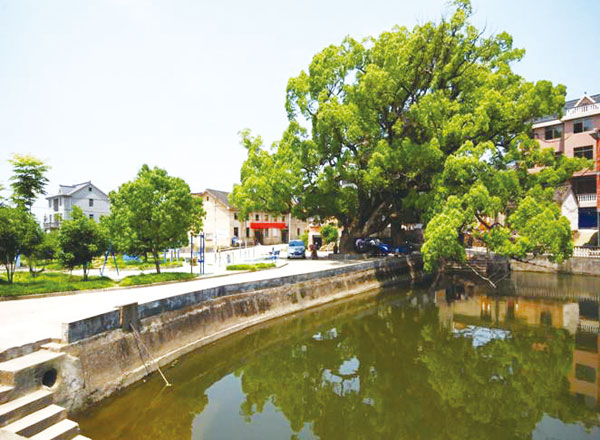 苏州农村 苏州农村
