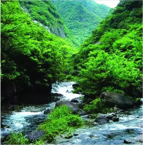 白云源 白云源