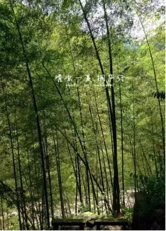 白云源 白云源